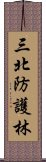 三北防護林 Scroll