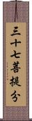 三十七菩提分 Scroll