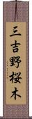 三吉野桜木 Scroll