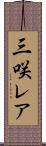 三咲レア Scroll