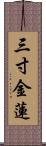 三寸金蓮 Scroll