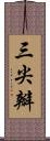 三尖瓣 Scroll