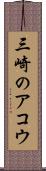 三崎のアコウ Scroll