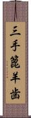 三手篦羊歯 Scroll