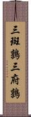三斑鶉 Scroll
