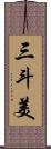 三斗美 Scroll