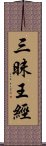 三昧王經 Scroll