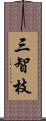 三智枝 Scroll