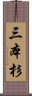 三本杉 Scroll