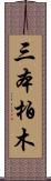 三本柏木 Scroll