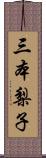 三本梨子 Scroll