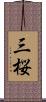 三桜 Scroll