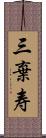 三棄寿 Scroll