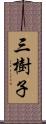 三樹子 Scroll