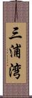三浦湾 Scroll