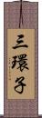 三環子 Scroll
