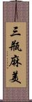 三瓶麻美 Scroll