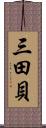 三田貝 Scroll