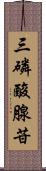 三磷酸腺苷 Scroll