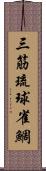 三筋琉球雀鯛 Scroll