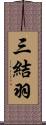 三結羽 Scroll