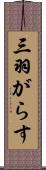 三羽がらす Scroll