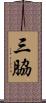 三脇 Scroll