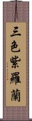 三色紫羅蘭 Scroll