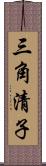 三角清子 Scroll