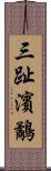 三趾濱鷸 Scroll