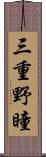 三重野瞳 Scroll