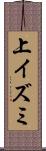 上イズミ Scroll