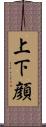 上下顔 Scroll