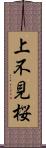 上不見桜 Scroll