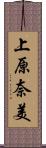 上原奈美 Scroll