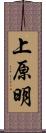 上原明 Scroll