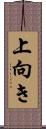 上向き Scroll