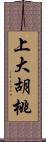 上大胡桃 Scroll