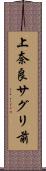 上奈良サグリ前 Scroll