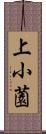 上小薗 Scroll