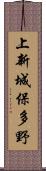上新城保多野 Scroll