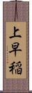 上早稲 Scroll