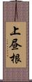 上昼根 Scroll