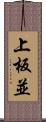 上板並 Scroll