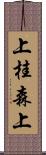 上桂森上 Scroll