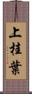 上桂葉 Scroll