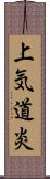 上気道炎 Scroll