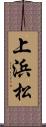 上浜松 Scroll