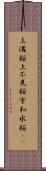 上溝桜 Scroll