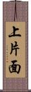 上片面 Scroll